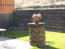 Cobblestone / Columns / Coloured: Saddleback