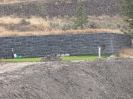 Cobblestone - Juniper_3